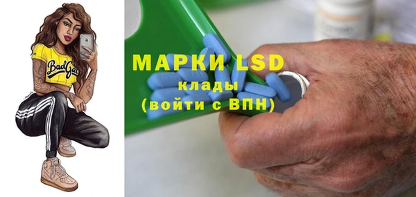 прущие грибы Алзамай