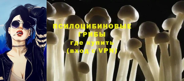 эйфоретик Алексеевка