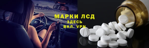 прущие грибы Алзамай